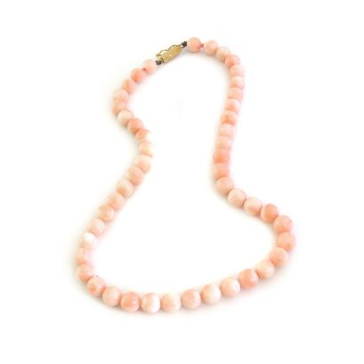 White Coral Necklace - Shop on Pinterest
