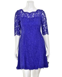 Eliza J Cobalt Blue Lace Short Sleeve Flared Mini Dress